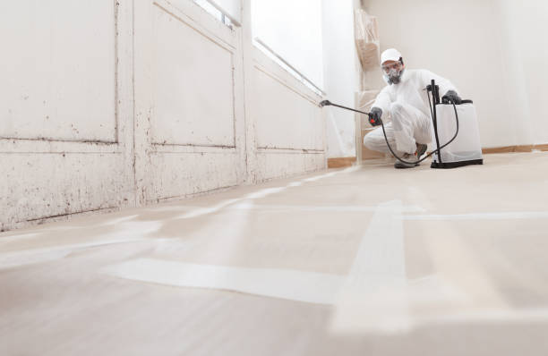 24/7 Emergency Mold Removal experts in Roanoke, VA