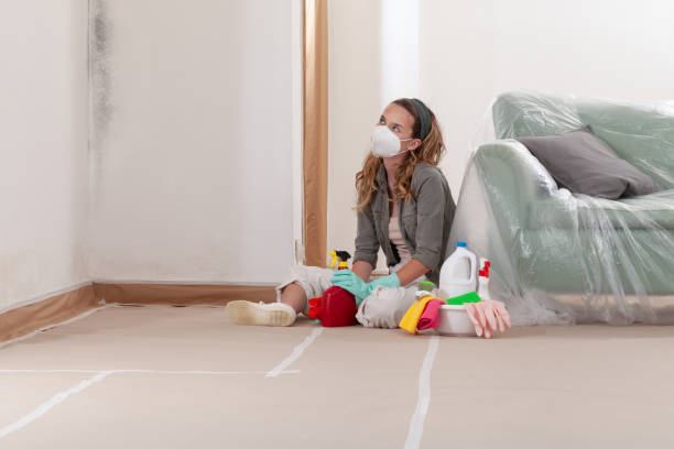 Reliable Mold Removal contractor in Roanoke, VA by Car Mold Remediation